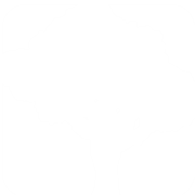 SpeedTree logo